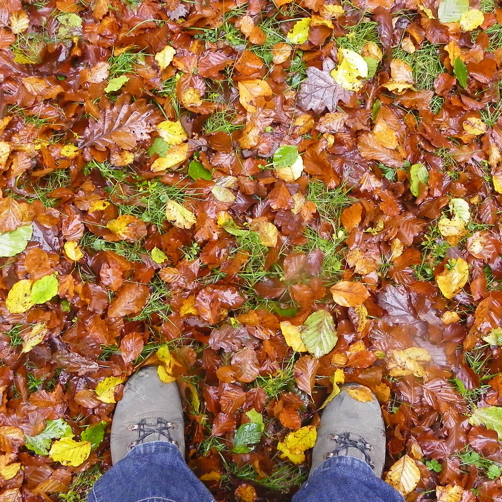 OTOÑO SENSACIONAL -Algo que debes experimentar-