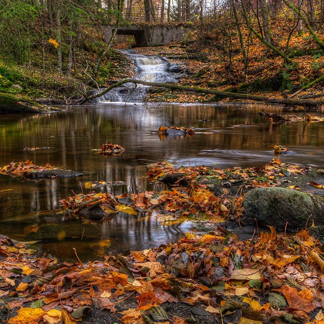 OTOÑO SENSACIONAL -Algo que debes experimentar-
