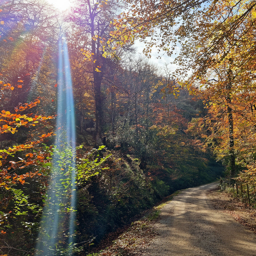 OTOÑO SENSACIONAL -Algo que debes experimentar-
