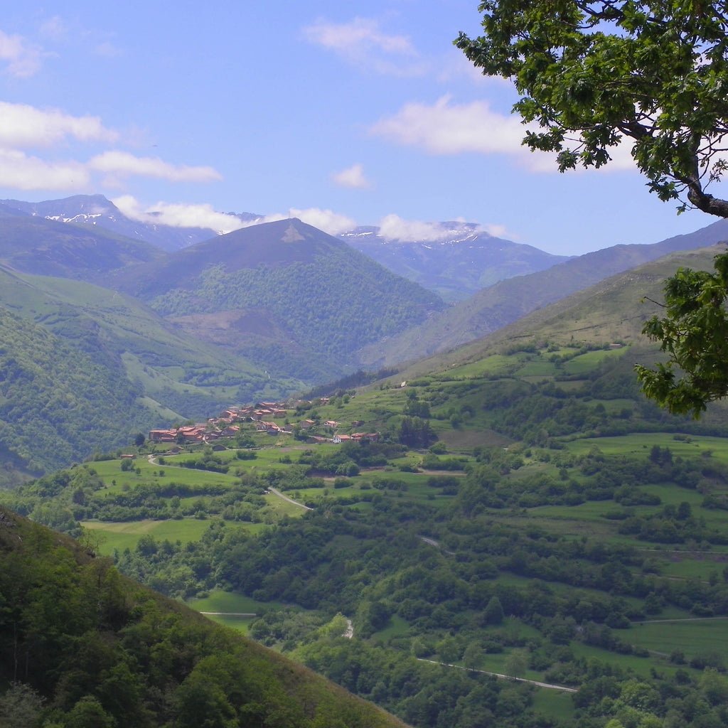 PEREGRINOS SOBRE RUEDAS-Camino Santo Lebaniego, Xacobeo y Garabandal