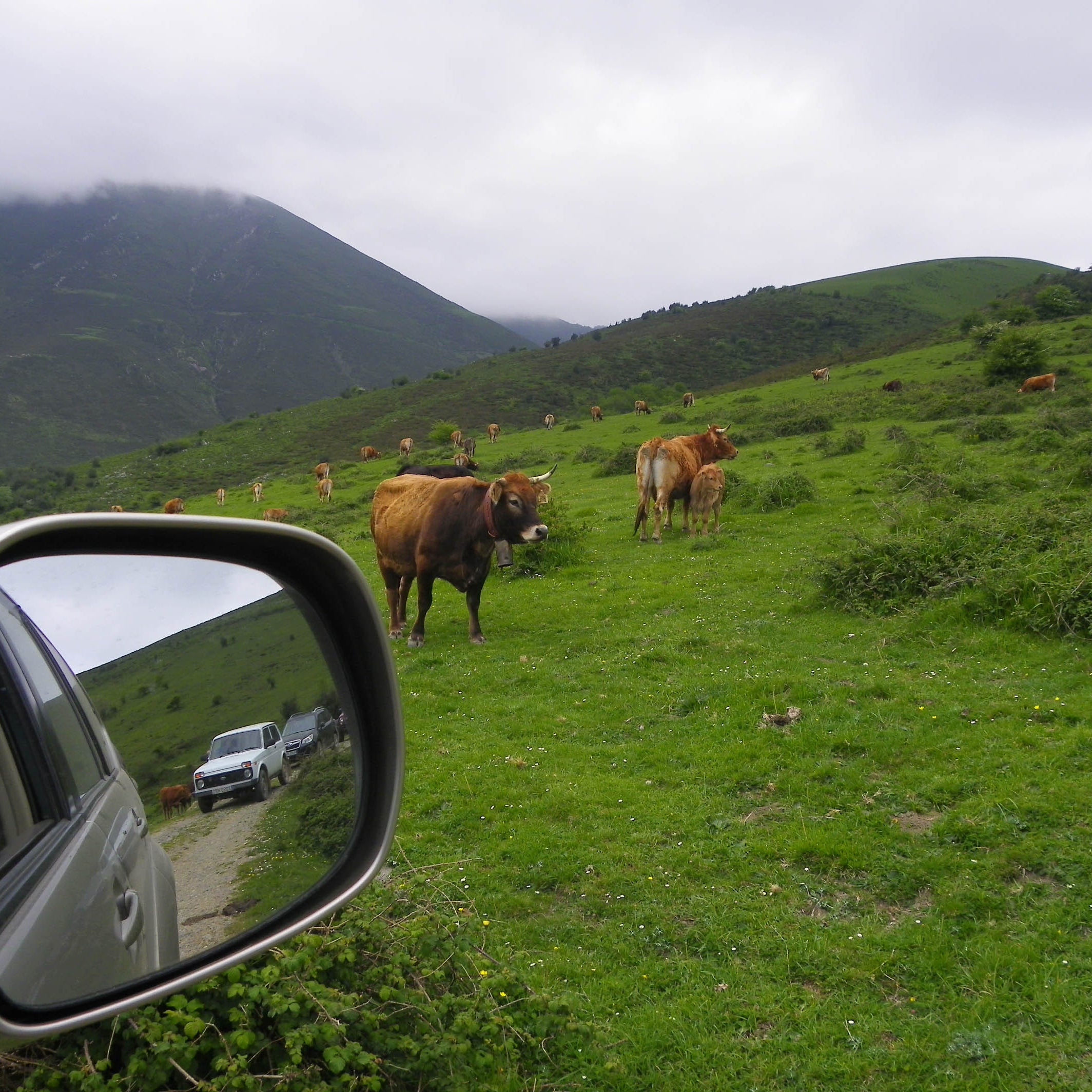 PEREGRINOS SOBRE RUEDAS-Camino Santo Lebaniego, Xacobeo y Garabandal