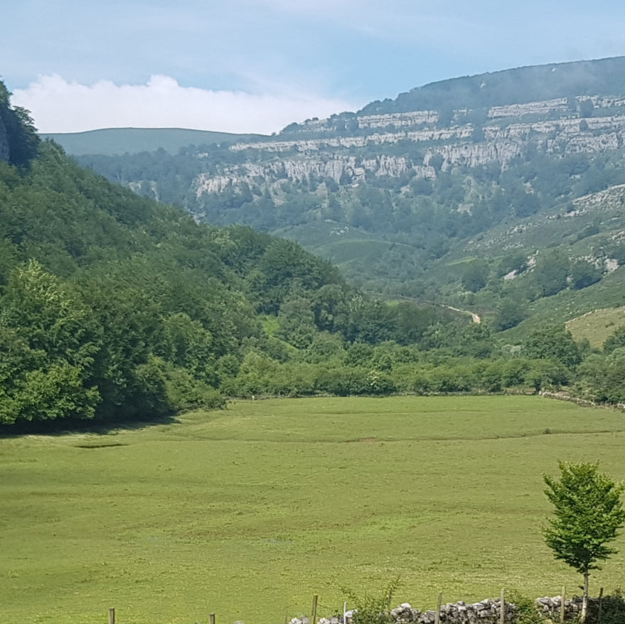 PARQUE NATURAL COLLADOS DEL ASON Y VALLE DE SOBA