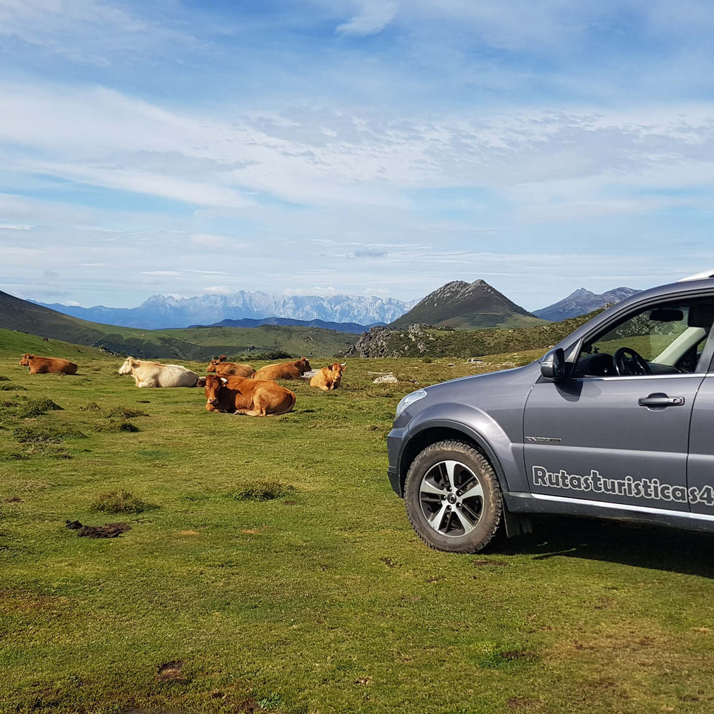 125 Km DE EXPERIENCIAS- 4 horas inolvidables