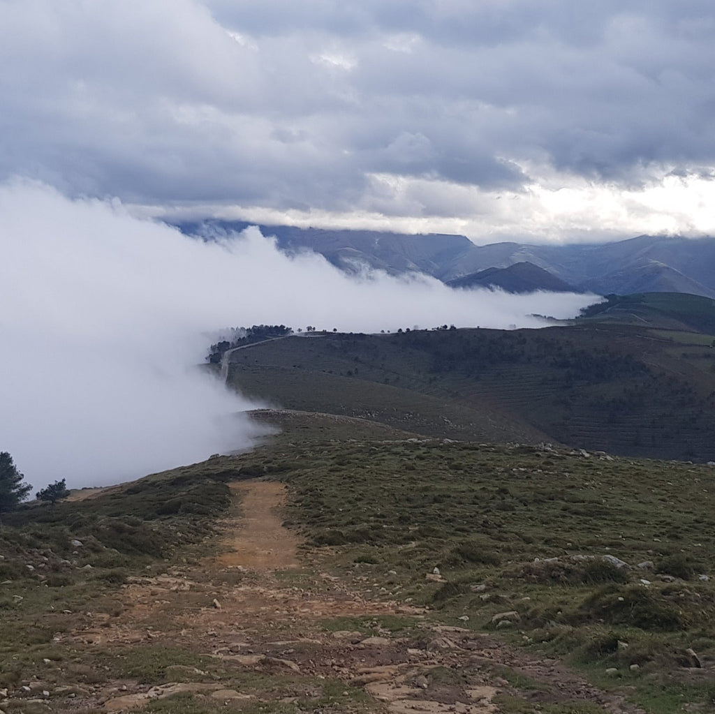 RUTA VALLES PASIEGOS •Historia y costumbres ancestrales• Pas y Miera•